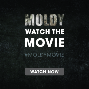 moldy movie on mold toxcity syndrome