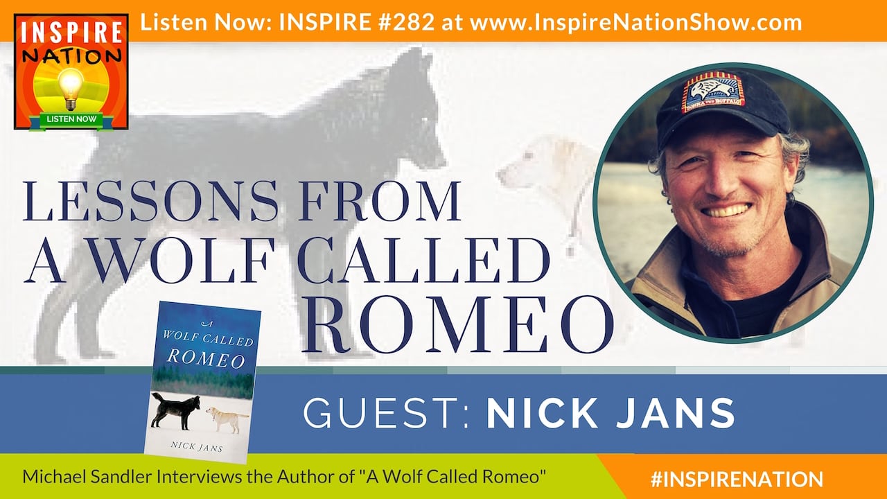 Listen to Michael Sandler's interview with Nick Jans on A Wolf Called Romeo!