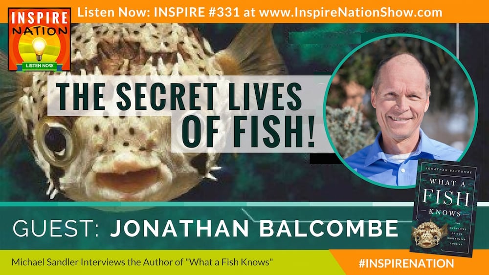 Listen to Michael Sandler's interview with Jonathan Balcombe on "What a Fish Knows!"
