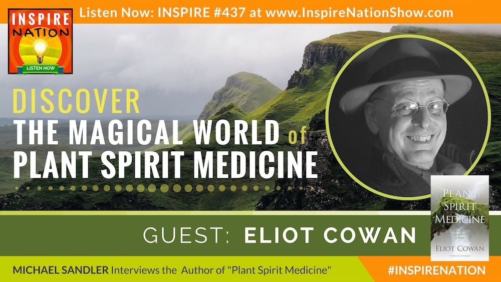 Michael interviews Eliot Cowan on Plant Spirit Medicine!