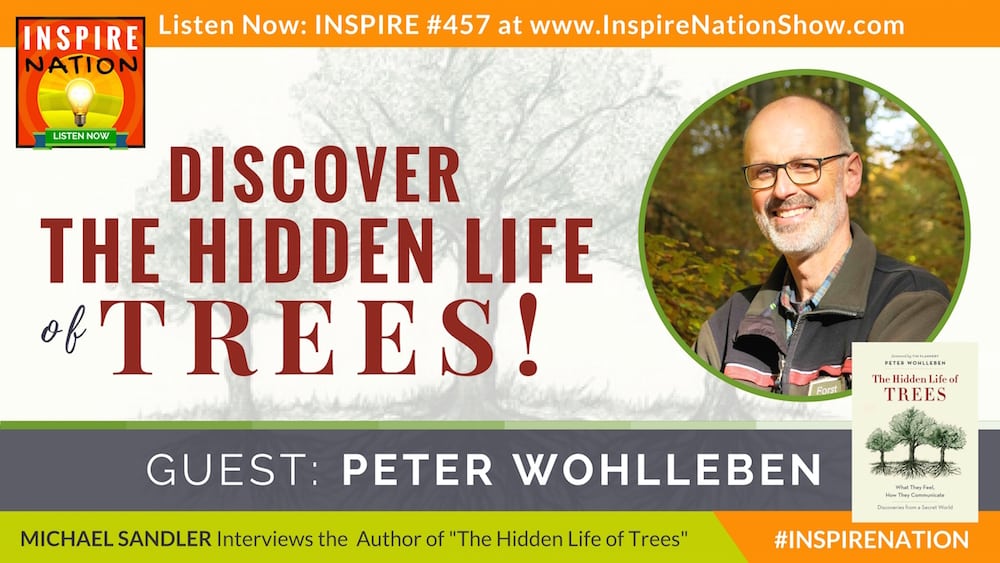 Listen to Michael Sandler chat with Peter Wohlleben about the hidden life of trees!