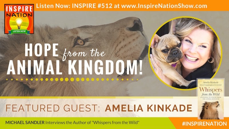 Listen to Michael Sandler's interview with Amelia Kinkade on the messages animals have to share with us during these times.