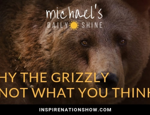Why the GRIZZLY Is Not What You Think!